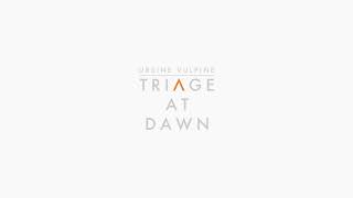 Triage at dawn Half life 2 REMIX [upl. by Anehc452]