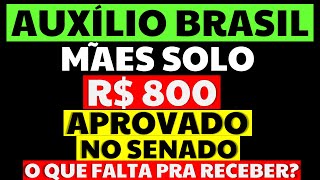 800 REAIS AUXÍLIO BRASIL PARA MÃES SOLO APROVADO NO SENADO O QUE FALTA PRA RECEBER [upl. by Terrill]