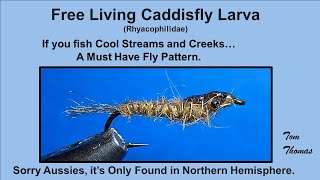 Free Living Caddisfly Larva Fly Pattern Rhyacophilidae [upl. by Saidel]