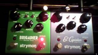 Strymon  Brigadier VS El Capistan  wow amp flutter VS Modulation Chorus  Vibrato [upl. by Indihar12]