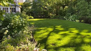 🌱 Open Lawn Garden Tour  Privacy Hedge  Y Garden 🌱 [upl. by Leclair]