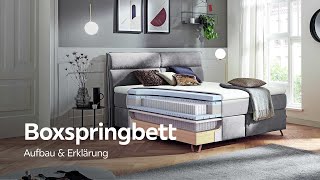 Boxspringbett Aufbau und Erklärung  XXXLutz Boxspringbetten Beratung [upl. by Meunier]