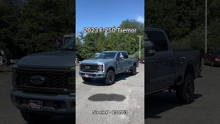 2023 F250 Tremor in Azure Gray available at All American Ford [upl. by Yrelav475]