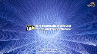 澳門teamLab超自然空間 teamLab SuperNature Macao 亮點視頻  teamLab SuperNature Macao Highlight Video [upl. by Frisse735]