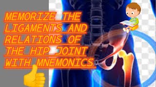 memorize the ligaments and relations of hip joint with mnemonics [upl. by Ruckman]