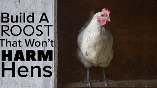 How To Build A Chicken Roost That Won’t Harm Your Chickens [upl. by Yemrej]