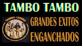 Tambo Tambo  🎵Grandes Exitos Enganchados🎵 [upl. by Ag]