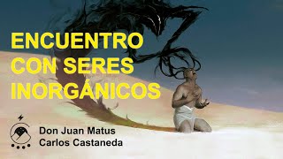 ENCUENTRO CON SERES INORGÁNICOS por don Juan Matus carloscastaneda inorganicos [upl. by Nnairahs656]