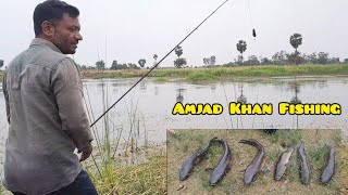 Snakehead Fishing  Hanting Videos  Fishing Videos  Amjad Khan Fishing [upl. by Silverman]