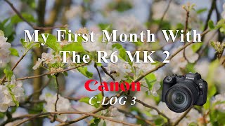 Filming with CLOG 3 on the Canon R6 MK 2 [upl. by Suiravad]