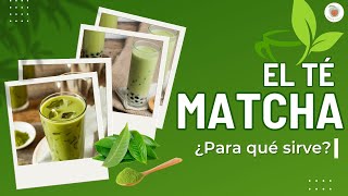 El TÉ MATCHA ¿Para qué Sirve Beneficios [upl. by Aicsila]