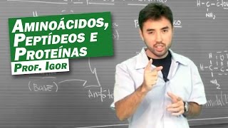 Química  Aminoácidos Peptídeos e Proteínas [upl. by Ainehta]