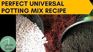 How to Make Perfect Universal Potting Mix for All Plants  Cheap amp Easy to Make Potting Mix Recipe [upl. by Leitnahs851]