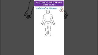 Anatomical Directional Terms Part 6 ll Unilateral amp Bilateral ll ytshorts [upl. by Donoho173]