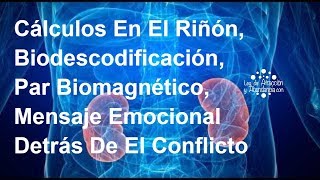 Cálculos En El Riñón Biodescodificación Par Biomagnético [upl. by Reviel]