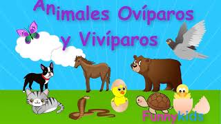 Animales ovíparos y vivíparos para niños  Videos educativos para niños [upl. by Gertie615]