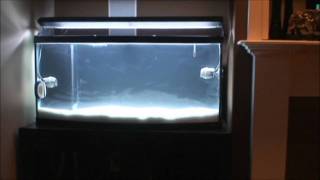 72g Bow Front Reef Tank Build Part 3 [upl. by Olympium]