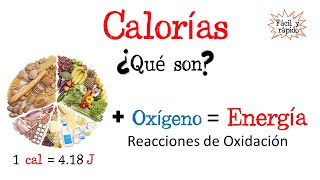 🍔¿Qué son las calorías🔥 Fácil y Rápido  BIOLOGÍA  FÍSICA  QUÍMICA [upl. by Rafaello]