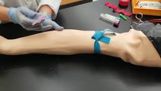 Phlebotomy Venipuncture Procedure [upl. by Abbie]