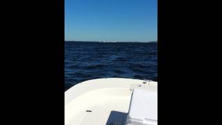 Carolina Skiff 218 DLV Rough Bay water [upl. by Rbma]