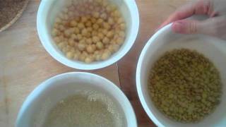 Ridiculously Easy Sprouting 101 [upl. by Htidra]