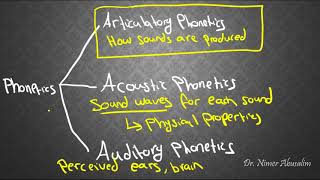 PHONETICS4 Articulatory Phonetics amp Voicing [upl. by Sew]