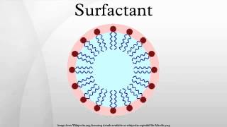 Surfactant [upl. by Danae773]