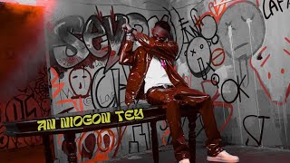 SEYDOU CHEE  AN NIOGON TEY  Clip Officiel  2023 [upl. by Nyleahs]