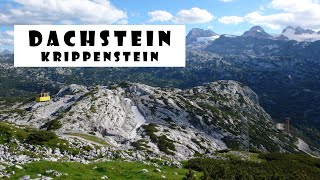 Dachstein  Krippenstein Austria  The Wanderlust Family [upl. by Engenia]