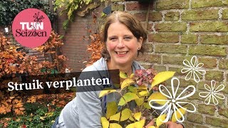 Struik verplanten  Tuinseizoen [upl. by Alexis184]