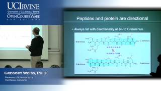 Introduction to Chemical Biology 128 Lecture 10 Proteins and Amino Acid Conformations [upl. by Annissa680]