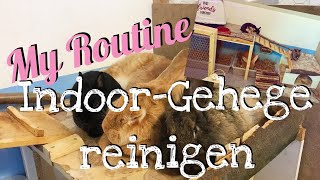 Reinigung meines Indoor Kaninchengeheges  My Routine [upl. by Schild]