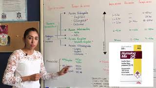 Terapia con insulinas en la Diabetes Mellitus tipo 2 Dra Paulina Crespo [upl. by Dettmer]