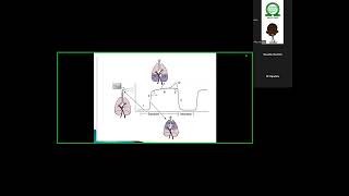 NSA Residents tutorial Capnography [upl. by Lenehc]