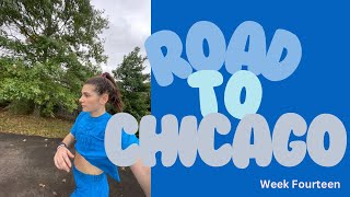 Road to Chicago Week 14 [upl. by Burton27]