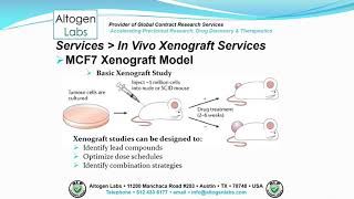 Altogen Labs MCF7 Xenograft Service Breast Cancer [upl. by Urba]