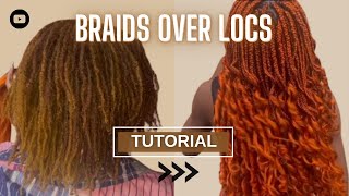 How to make braids over locs tutorial  Beginner friendly tutorial  Braiding In real time [upl. by Klapp]