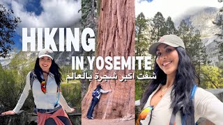 رحلة الى الطبيعة في كاليفورنيا  Yosemite and Sequoia national park [upl. by Hakan]