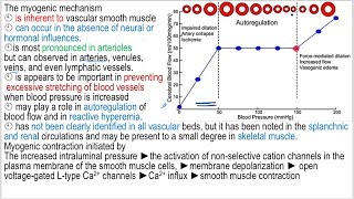 Autoregulationlong and acute controlangiogenesismyogenicmetabolic theory [upl. by Skippie990]