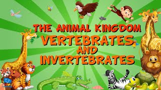 THE ANIMAL KINGDOM VERTEBRATES AND INVERTEBRATES  Educational Videos for Kids [upl. by Romilly133]