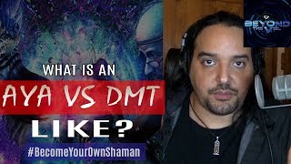 What is an Ayahuasca  DMT Trip Like [upl. by Norvil986]