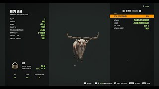 Getting Trolled in Emerald Coast  theHunter Call of the Wild [upl. by Adnihc]