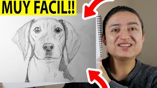 🥇 CÓMO DIBUJAR un PERRO PASO A PASO REALISTA 【 MUY FÁCIL 】✅ Dibujos de Perros a lápiz [upl. by Keyte]