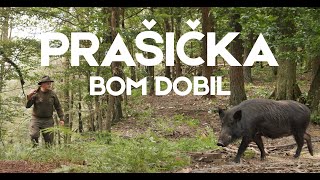 Ansambel Dveh Dolin  Prašička bom dobil [upl. by Aivilys]