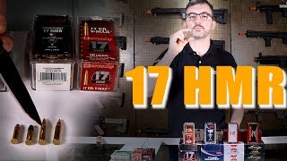 Munição Calibre 17hmr  Sua história e comparação com a 22LR [upl. by Tnafni542]