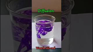 Is DIY Diffusion Worth It experiment [upl. by Nreval]