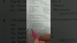 Life cycles haplontic morphologyoffloweringplants class11biologyncert trendingshorts [upl. by Osnola774]