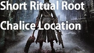 Bloodborne  Short Ritual Root Chalice Location [upl. by Enieledam]