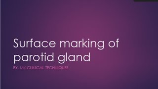 surface marking of parotid gland  parotid gland surface anatomy [upl. by Ssitruc]