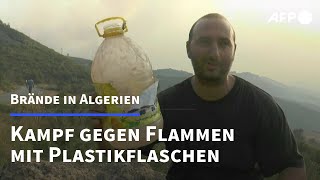 Brände in Algerien  Bürger löschen mit Wasser aus Plastikgefäßen  AFP [upl. by Sibeal528]